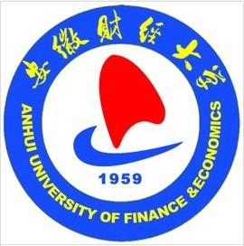 91免费视频网站案例