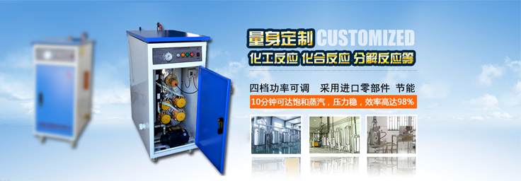36-48kw化工反應小型蒸汽發生器