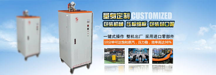 16-32kg/h機械包裝小型蒸汽發生器