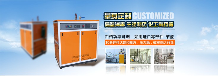 高壓防爆電蒸汽發生器