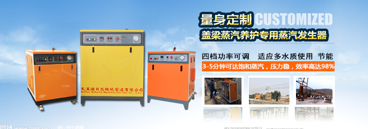 路橋養護蒸汽發生器