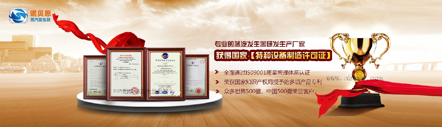 91免费视频网站蒸汽發生器