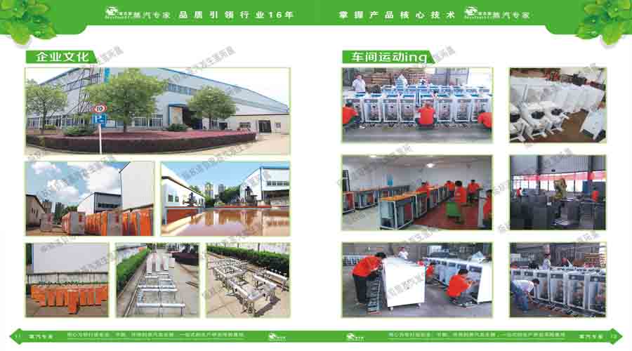 91免费视频网站蒸汽發生器電子宣傳冊