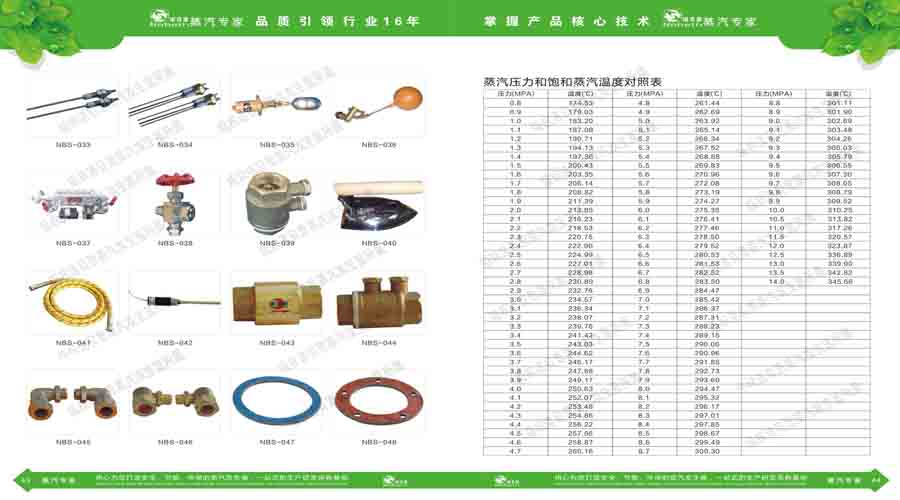 91免费视频网站蒸汽發生器電子宣傳冊