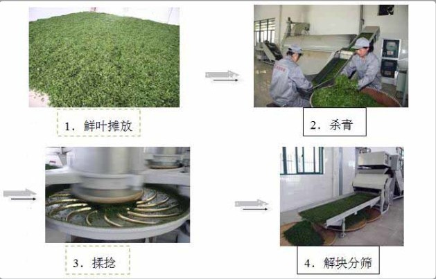 製茶案例
