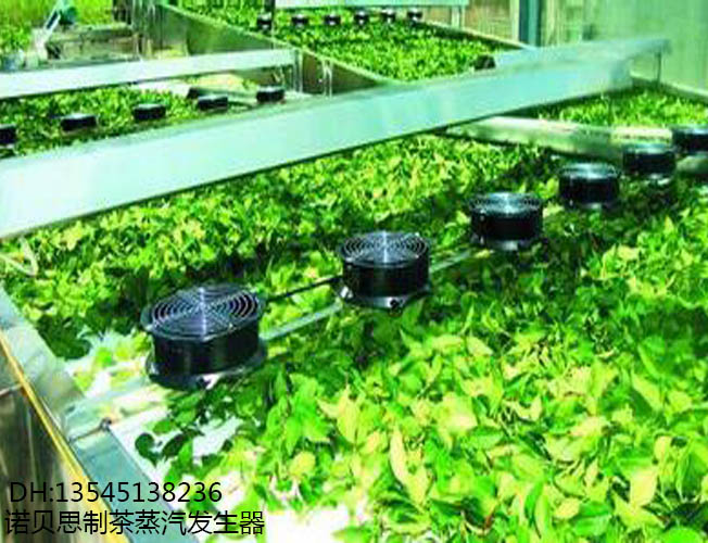 河南蒸汽發生器製茶