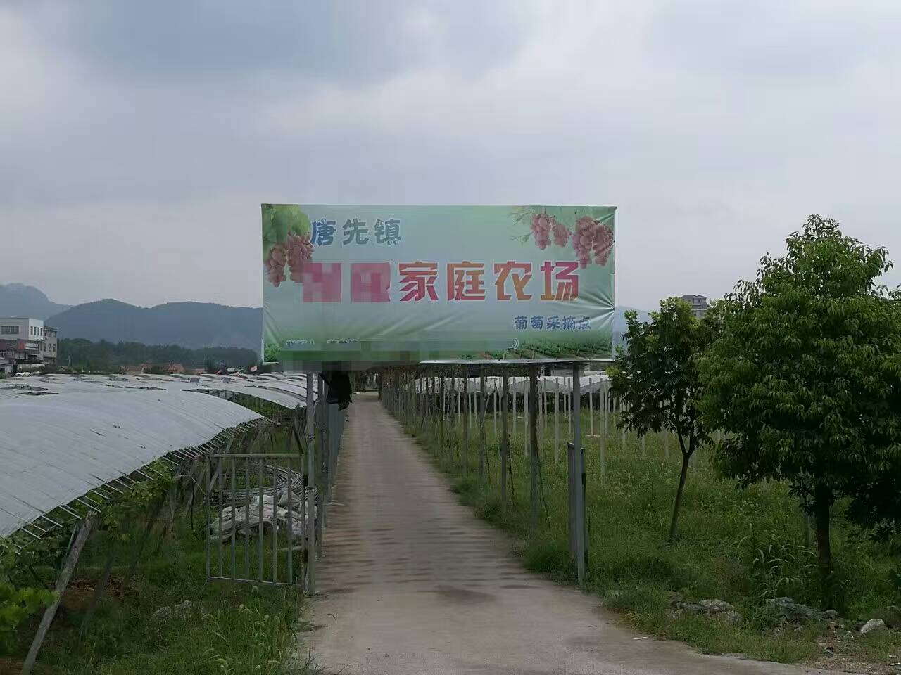 釀酒用蒸汽發生器