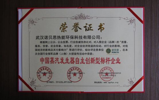 中國蒸汽發生器自主創新型標杆企業