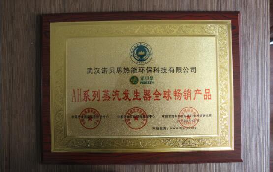 AH係列蒸汽發生器全球暢銷產品