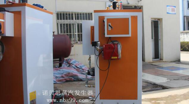 燃油300kg蒸汽發生器
