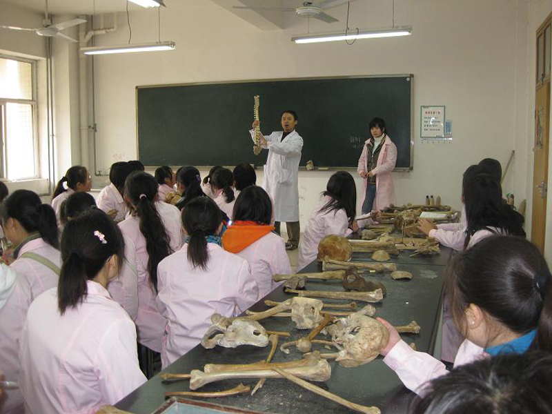 生物化工蒸汽發生器