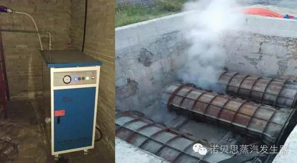 水泥磚養護蒸汽發生器
