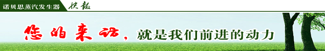 養護用蒸汽發生器