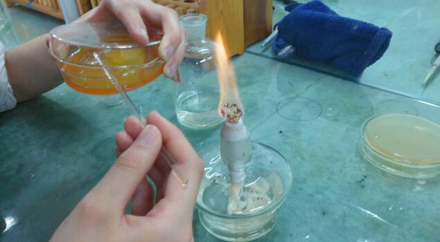 微生物培養蒸汽發生器