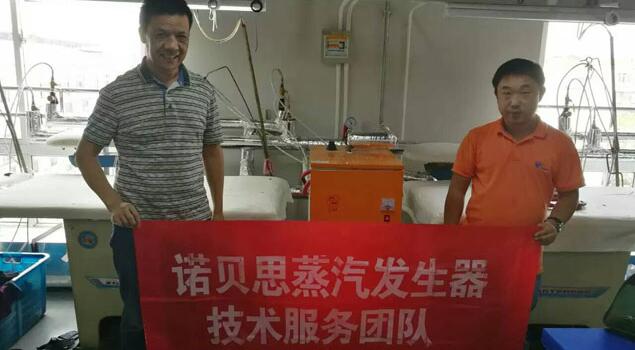 91免费视频网站蒸汽發生器