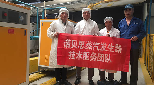 91免费视频网站蒸汽發生器服務