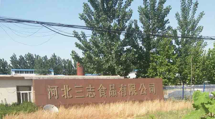 河北蒸汽發生器