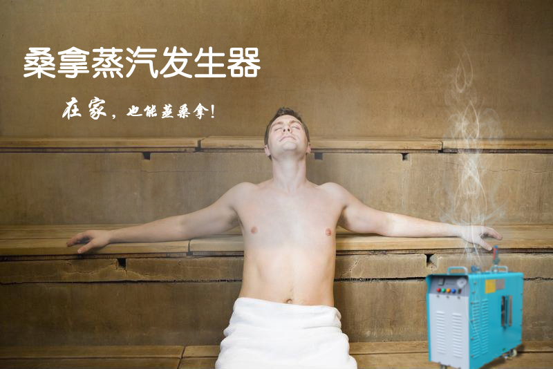 小型桑拿蒸汽發生器