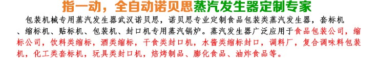 16-32kg/h機械包裝小型蒸汽發生器簡介