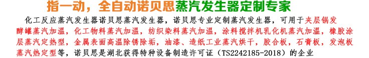 36-48kw化工反應小型蒸汽發生器簡介