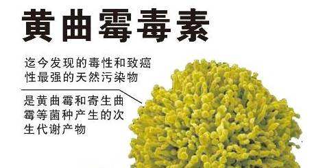 茶葉加工蒸汽發生器