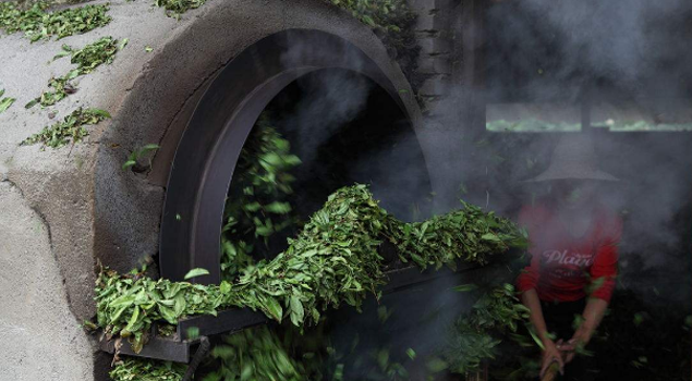 普洱茶殺青烘幹蒸汽發生器