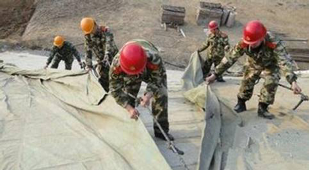 91免费版下载安装
