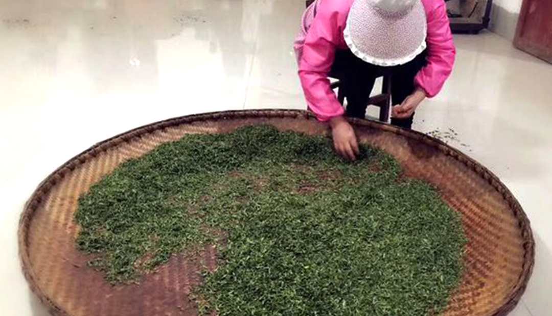 蒸汽發生器