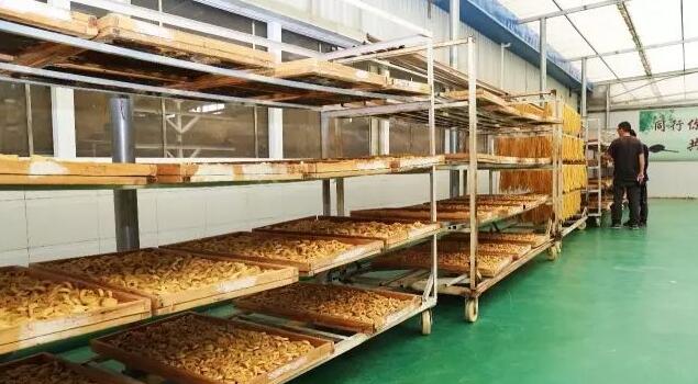 豆製品加工蒸汽發生器