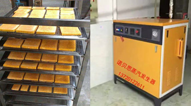 電蒸汽鍋爐加工豆製品節約成本