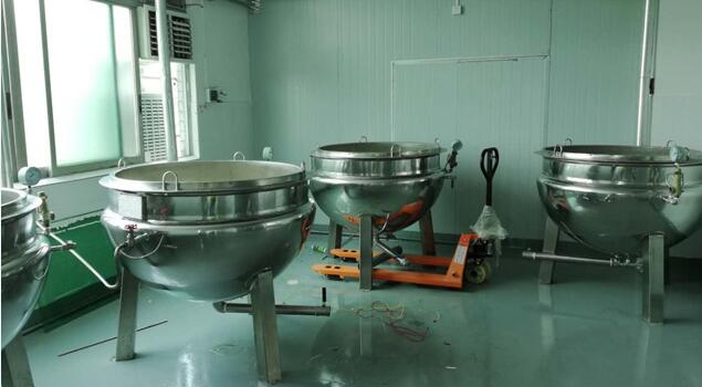 食品廠用蒸汽發生器