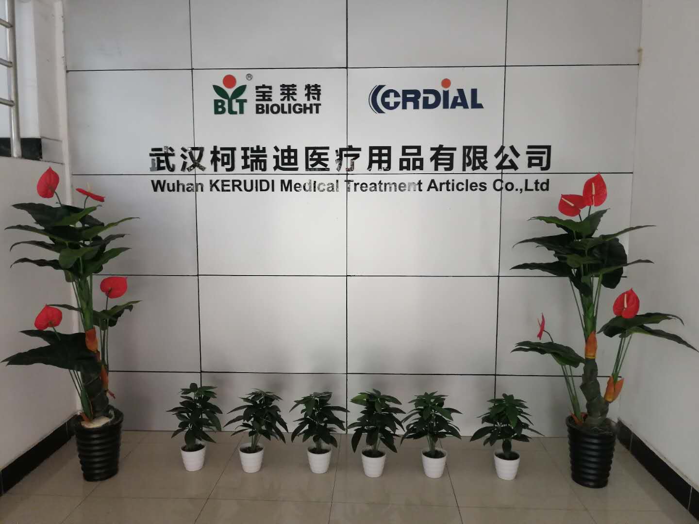 武漢醫療公司購入電蒸汽發生器