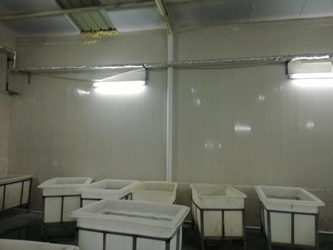 蒸汽發生器用於加工廠.jpg