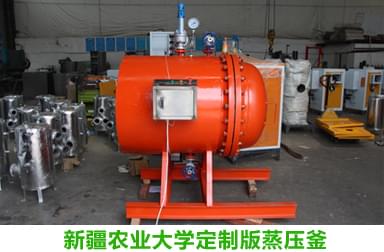 91免费视频网站蒸汽專家完成新疆農業大學定製蒸壓釜