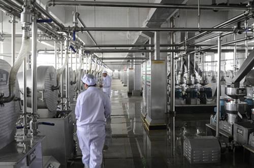 生物質蒸汽發生器用於食品加工廠現場案例