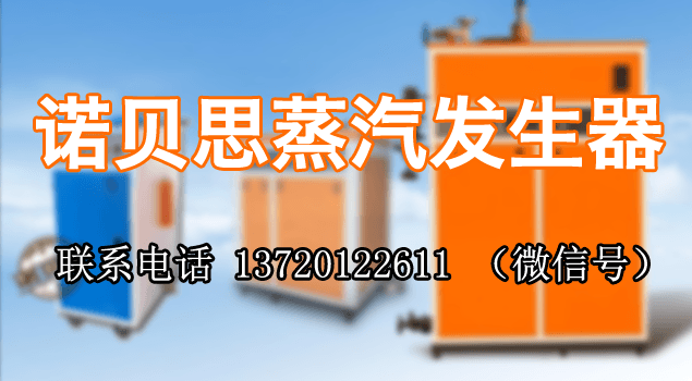 武鋼集團購91免费视频网站蒸汽發生器用於食堂蒸飯保溫