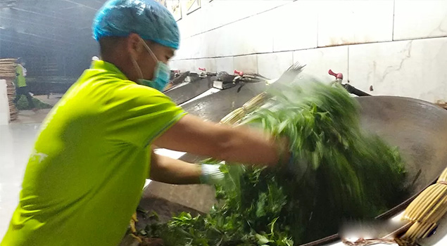 電氣化製茶成主流，蒸汽發生器讓製茶無煙化，實現零排放的環保目標